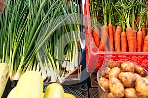 Green onion , carrot, potatoes and squashes on the counter of the Belarussian market