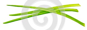 Green onion with clipping path