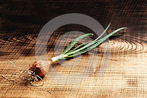 Green onion close-up on a wooden background