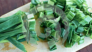 Green onion - a feather representing onion leaves. Chopped green onions
