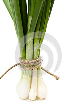 Green onion (Food and health concept) with space f