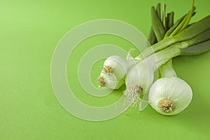 Green onion isolated on green background