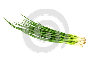 Green onion