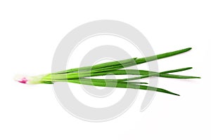 Green onion isolated on white background