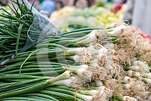 Green onion on the marketplace