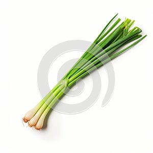 Minimalist Green Onion: Xbox 360 Graphics Inspired photo