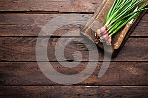 Green onion or scallion on wooden board, fresh spring chives