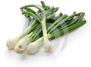 Green onion, spring onion