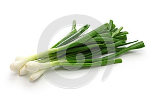 Green onion, spring onion