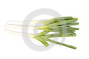 Green onion, spring onion, scallion isolated on white background