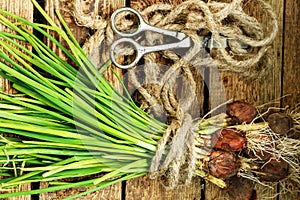 Green onion on wooden background