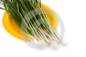 Green onion on yellow plate on white background
