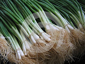 Green onions