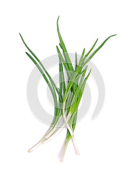 Green onions