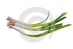 Green onions