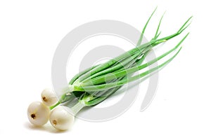 Green onions