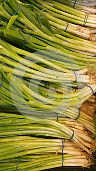 Green Onions