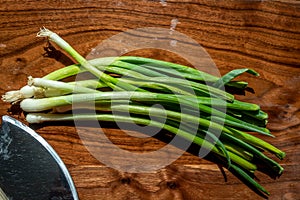 Green Onions Arranged on a Dark Wood Cutting Board Shallow Depth of Field With Knife Blade