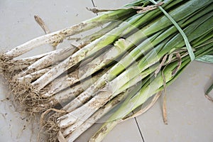 Green onions bundled together