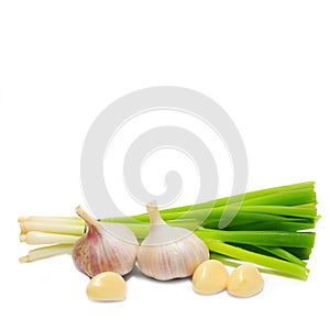 Green onions and garlic