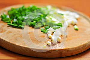 Green onions and garlic