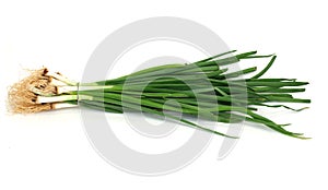 Green onions, photo