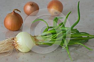 Green onions with roots. yellow onion bulbs