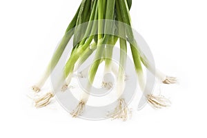 Green Onions on White Background