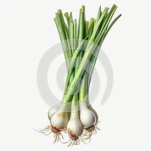 Green Onions white background realism
