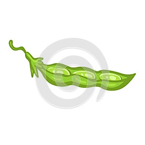 Green open pod of soybean or pea, bean cartoon style vector illustration.