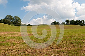 Green open space with mature trees on a sunny day with light clouds at Stroud Preserve