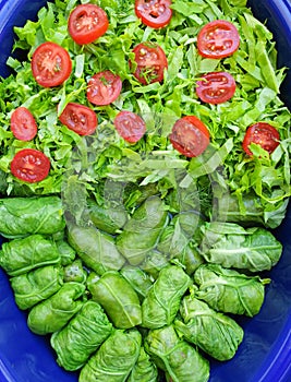 Green orache meat rolls salad and tomatoes cooking