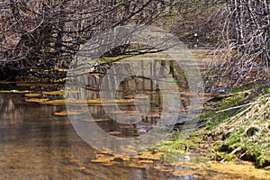 Green and orange algae on the river. Pollution of the environment.