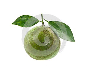 Green orange fruit with leaf on white