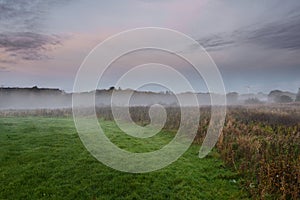 Green and orange grass field in a morning fog. Calm and peaceful atmosphere. Vivid colors. Soft pastel cloudy sky. Stunning nature