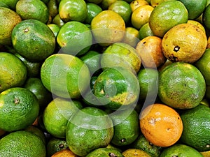 Green oranges in market