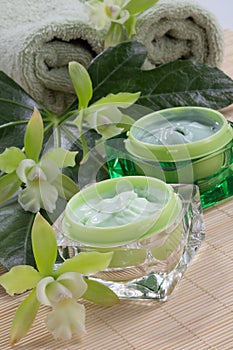 Green Orchids and Moisturising Cream