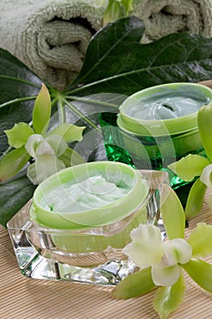 Green Orchids and Moisturising Cream