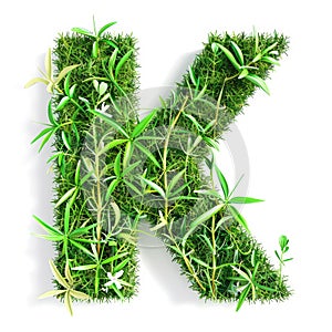 Green organic grass with tiny flowers made letter K on white clean background. Environment concept. Generative AI