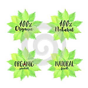 Green Organic Labels.