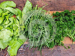 Green organic vegetables from our own garden