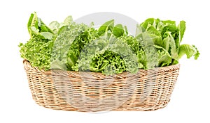 Green organic vegetables on rattan basket isolated on white background with clipping path