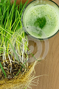 Green Organic Wheat Grass Juice ready to drink