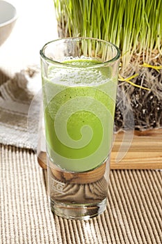 Green Organic Wheat Grass Shot