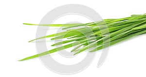 Green organic wheat grass on white