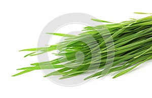 Green organic wheat grass on white