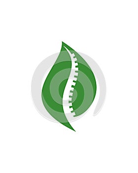 Green orthopaedic logo , nature spine vector logo