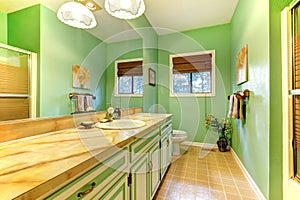 Green outdated bathroom interior.