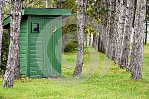 A green outhouse near a pine tree planted in a Lin