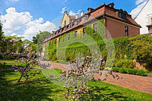 Green overgrown house